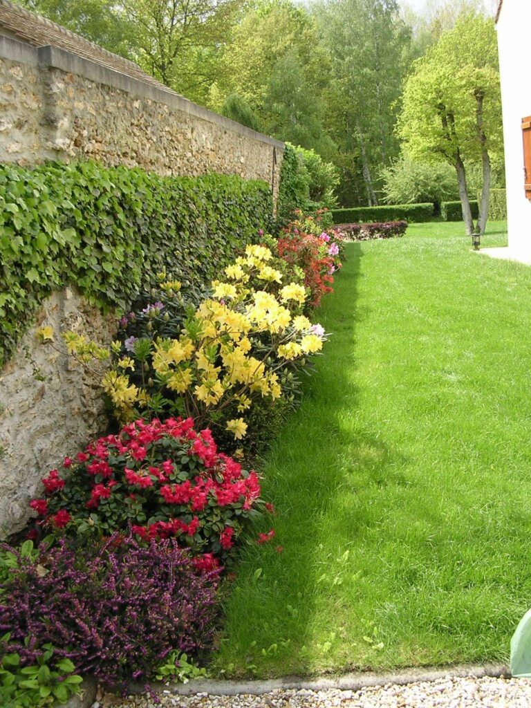 image de jardin fleuri