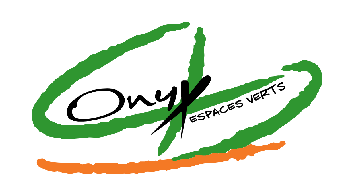 logo de onyx